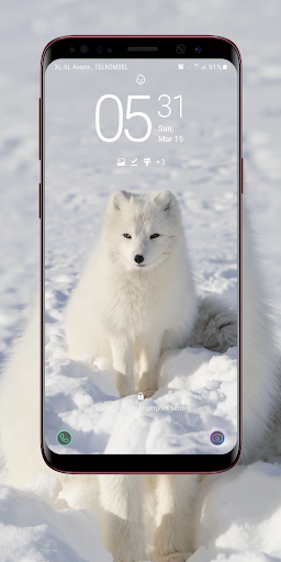 Fox Wallpaper Screen 2
