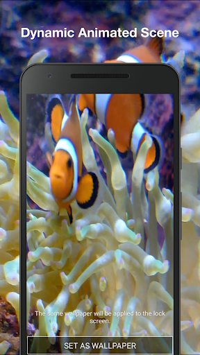 Real Fish Live Wallpaper Pro Screen 2