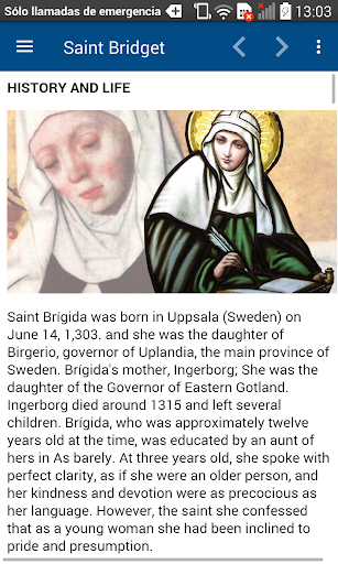 Saint Bridget Prayers for 12 Years