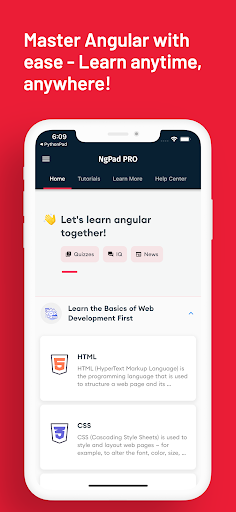 Screenshot of Learn Angular: AngularDev PRO