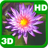 The Lost Purple Waterlily Pond icon