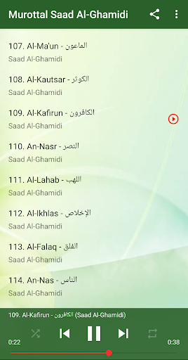 Murottal Saad Al-Ghamidi Full 30 Juz MP3