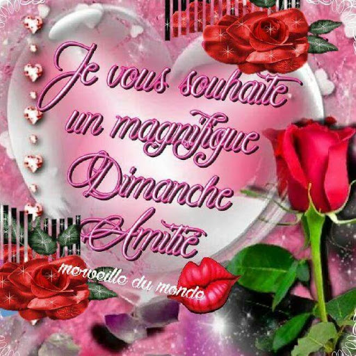 Bonjour Bonsoir Bonne Nuit Screen 2