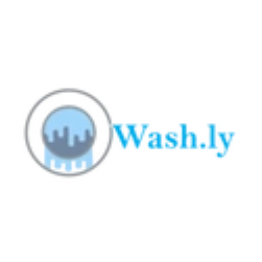 Washly Admin logo