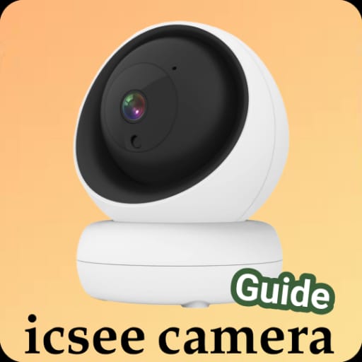 icsee camera guide