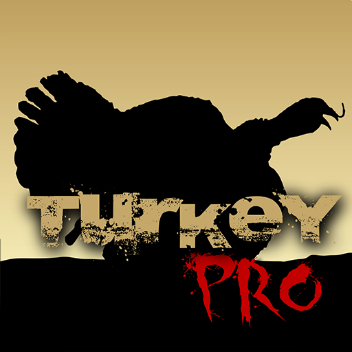 Turkey pro. Wild update логотип.