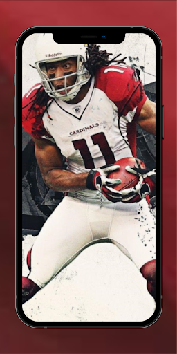 Arizona Cardinals fans