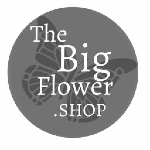 The Big Flower Shop logo