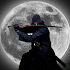 Super Ninja Kungfu Knight Samurai Shadow Battle3.0.1