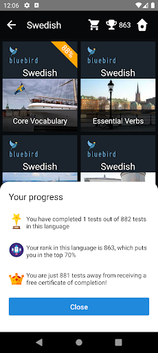 Swedish Language Tests Screen 3
