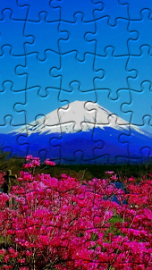 Japanese Jigsaw Puzzles