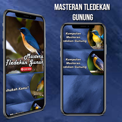 Tledekan Gunung Gacor Offline Screenshot 2 - AppWisp.com