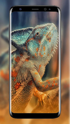 Chameleon wallpapers