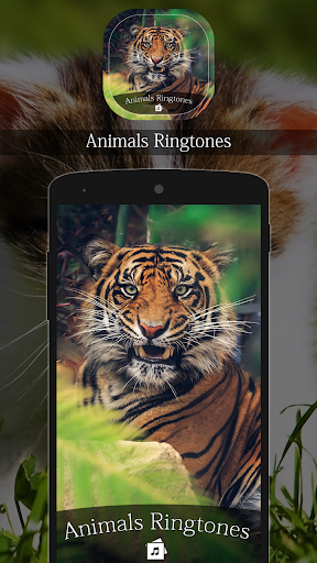 Animals Ringtone Screen 2