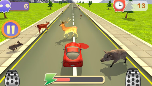 RoadKill Race Simulator