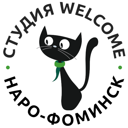 Студия Welcome Наро-Фоминск Download on Windows