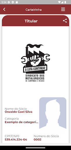 Metal Campinas Screen 2