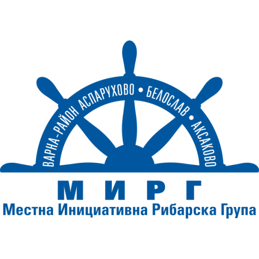 МИРГ - син монитор logo