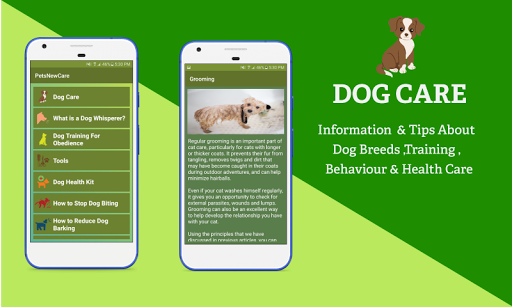 Pets Care and Training