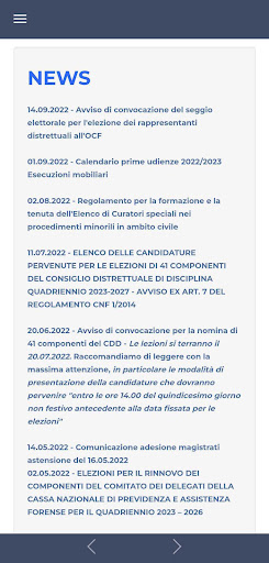 Ordine Avvocati Rimini Screen 2