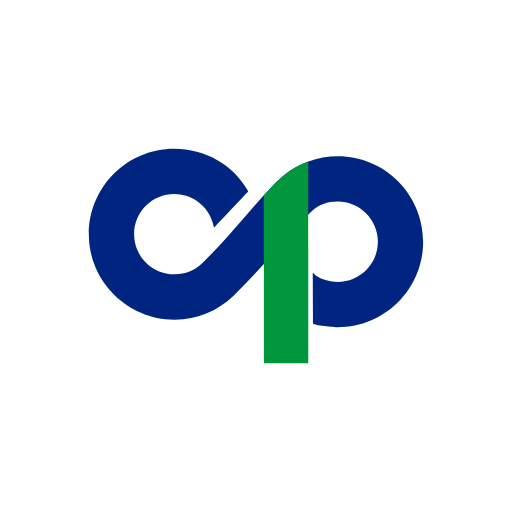 ConnectPlayers: Find Chat Play logo