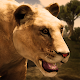 Ultimate Lioness Simulator