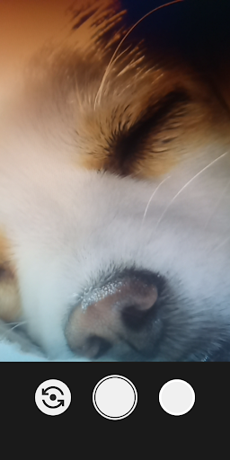 Silent Camera Pro Quality