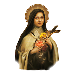 St Therese Church Kandanvilai: Download & Review