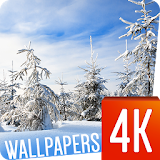 Winter wallpapers 4k icon