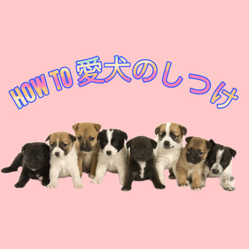 HOW TO 愛犬のしつけ logo