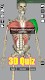 screenshot of 3D Bones and Organs (Anatomy)