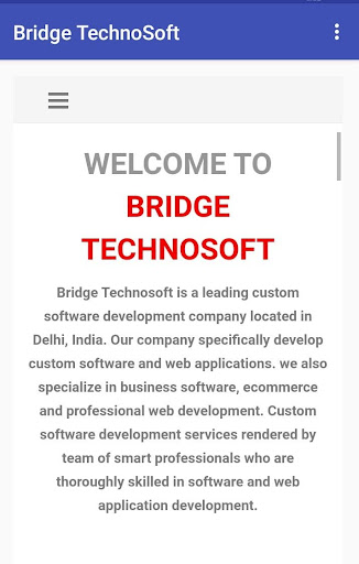 Bridge TechnoSoft Screen 2