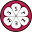 mangoSTEEMS Vocab Download on Windows