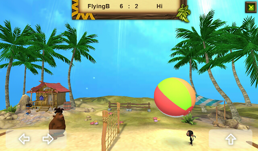 Volleyball Island