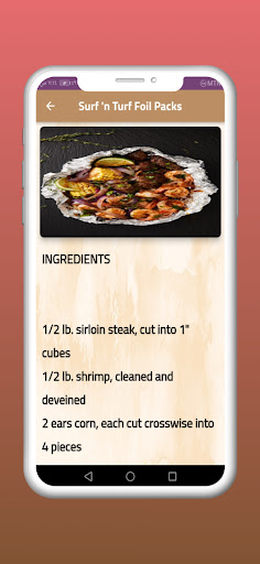 Barbeque recipes - Grilling Screen 3