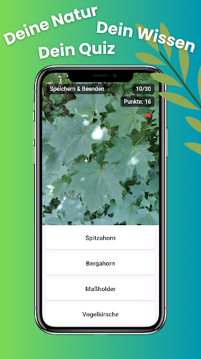 Pflanzen-Quiz