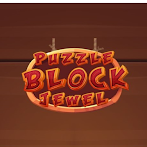 Puzzle Block
