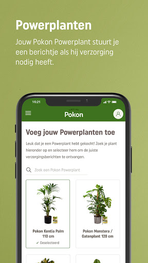 Pokon Screen 2