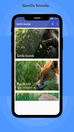 Android application Gorilla Sounds screenshort