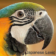 Learn Japanese Kanji-Vocabulary Lexic