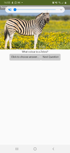 Android application Quiz app screenshort