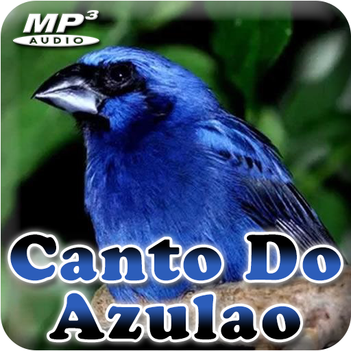 Canto De Papa-Capim Fêmea - Apps on Google Play