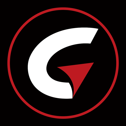 PAPAGO DVR logo
