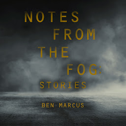 Icon image Notes from the Fog: Stories