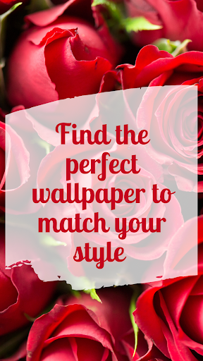 Flower wallpaper live rose HD Screen 3