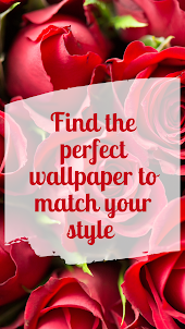 Flower wallpaper live rose HD