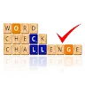 Word Check Challenge