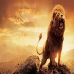 Cover Image of Download Lion Roar  APK