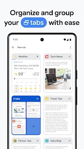 Google Chrome 4