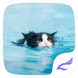 Swimming Cat Theme icon